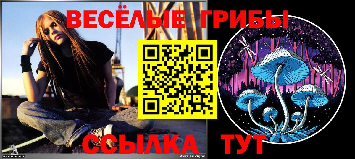 Псилоцибиновые грибы GOLDEN TEACHER  Галлюциногенные грибы Cubensis  Бутурлиновка  Вход с VPN 